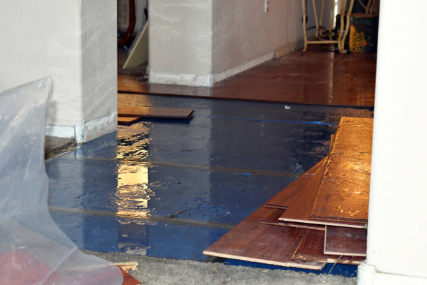 Professional Water Damage Restoration technician working in Stewartville, AL